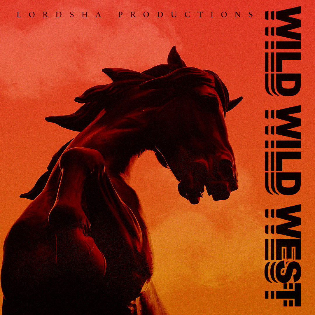 Wild Wild West by LordSha
